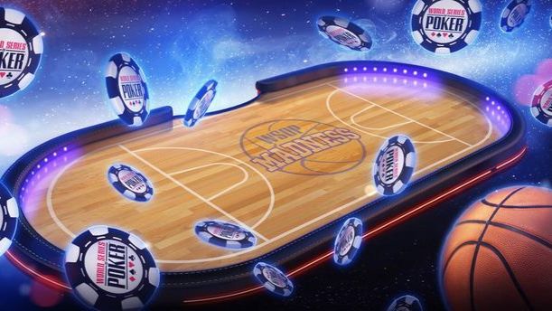 Greyhound Racing Live Betting